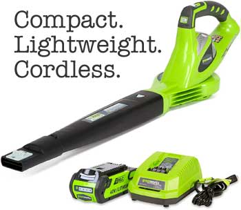 Greenworks Compact Lightweight Cordless Leaf Blower with Rechargeable Battery