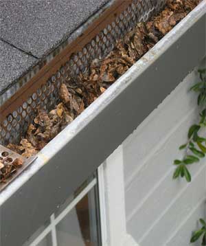 Blow Gutter Cleaners Get Rid of Leaves in Roof Gutter