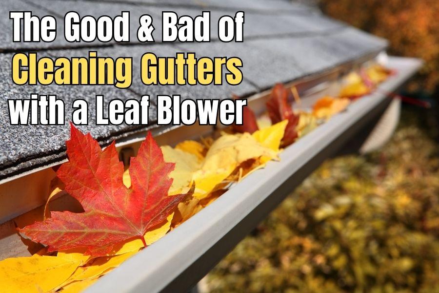 The Good and Bad of Cleaning Gutters with a Leaf Blower