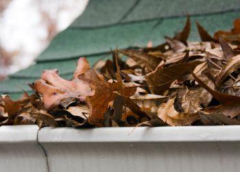 Gutter Overflowing with Leaves from Overdue Maintenance - Makes Cleaning Gutters Harder