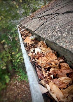 Rain Gutter Full of Dead Leaves